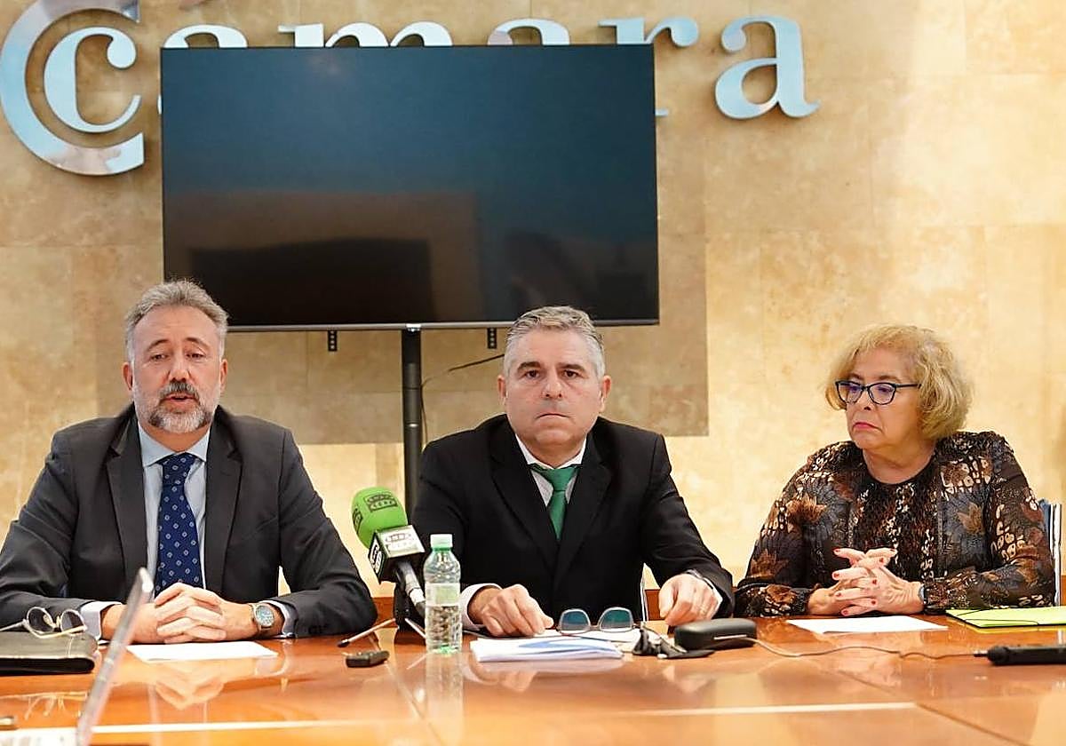 Los abogados Jesús García Martín Carballares, Alfonso Hernández Hernández y Consuelo de Vicente.