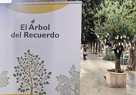 El 'árbol del recuerdo' vuelve a florecer en Salamanca por el Día de Todos los Santos