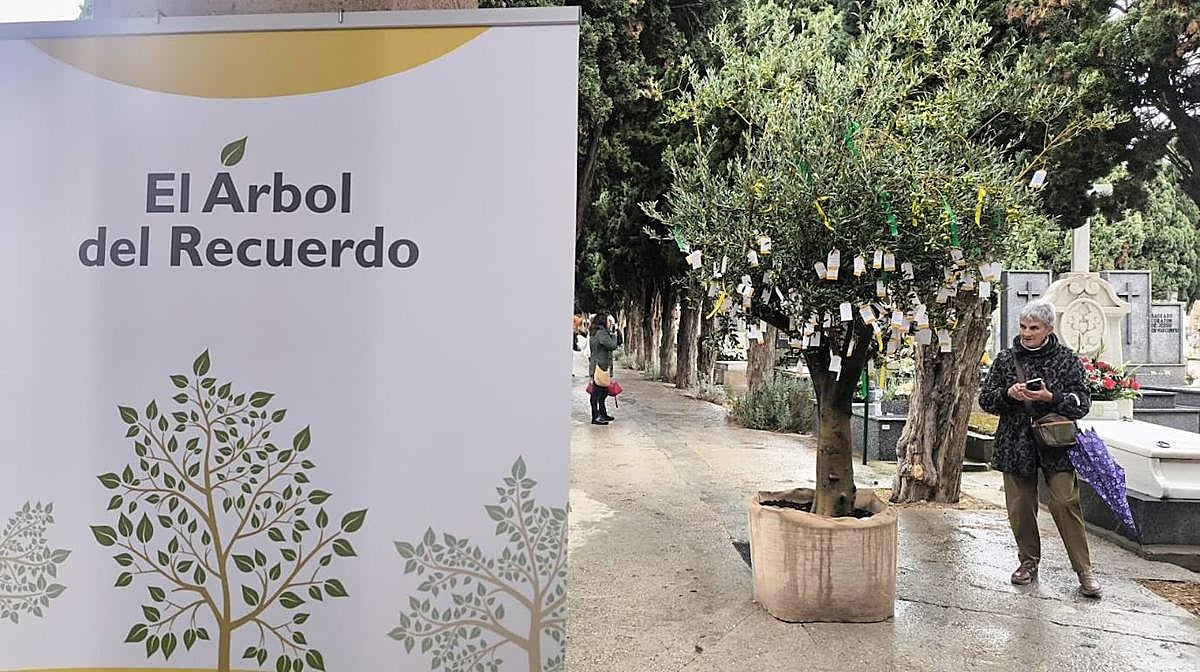 El 'árbol del recuerdo' vuelve a florecer en Salamanca por el Día de Todos los Santos