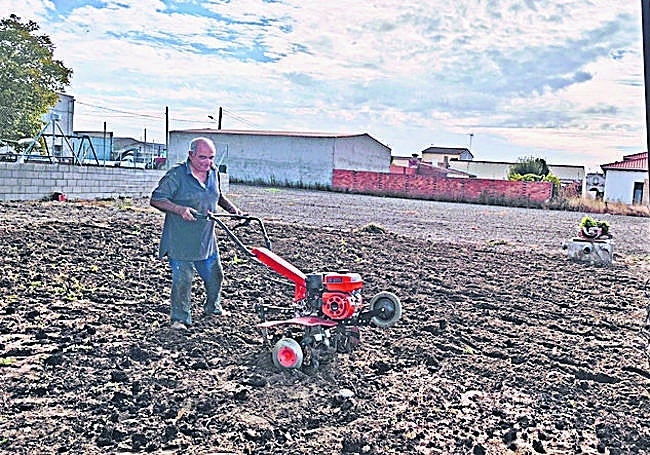 Un hortelano aficionado pasa el motocultor en su parcela.