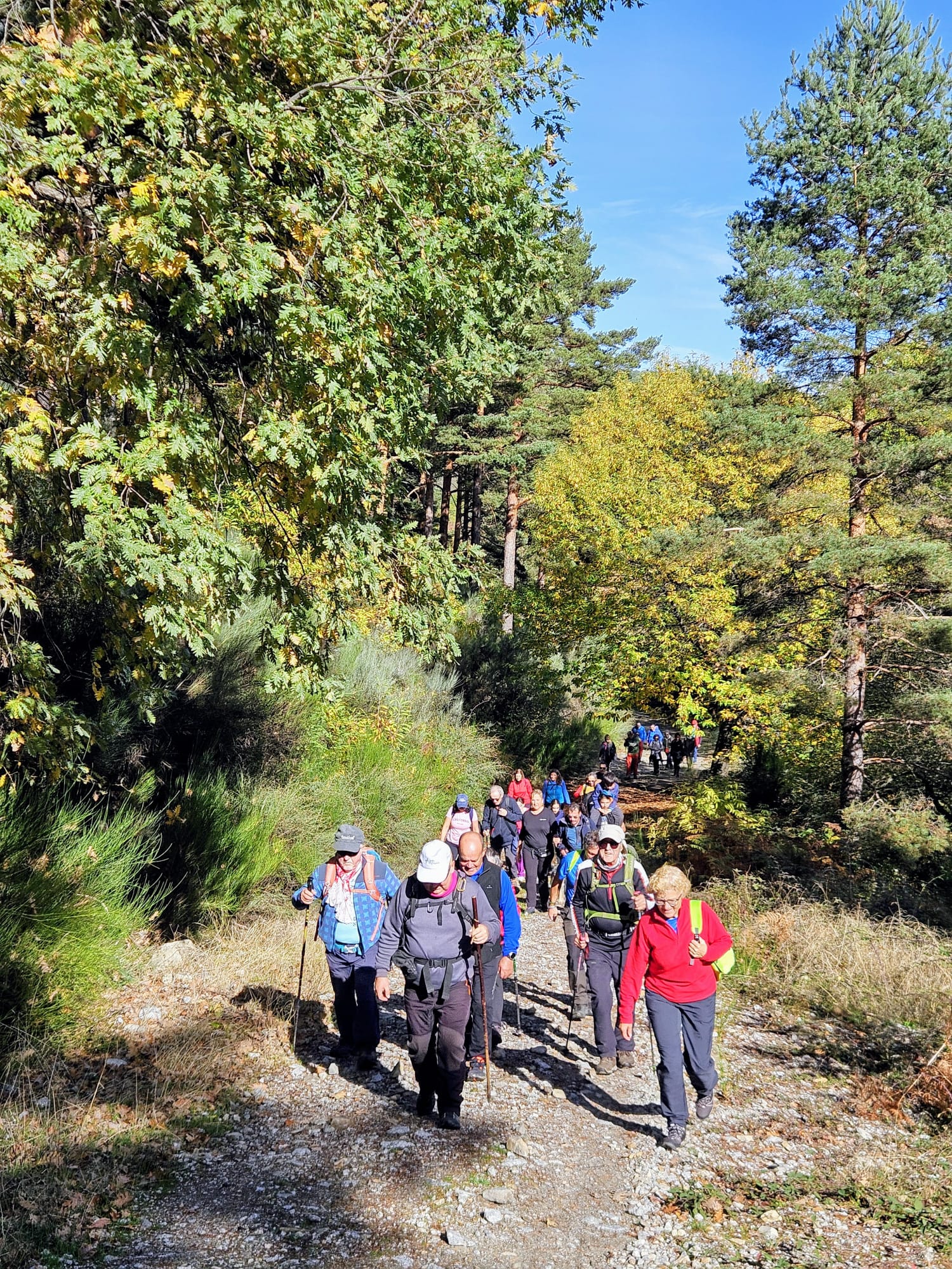 Un paseo por la belleza del otoño bejarano