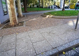 La suciedad que dejan los estorninos