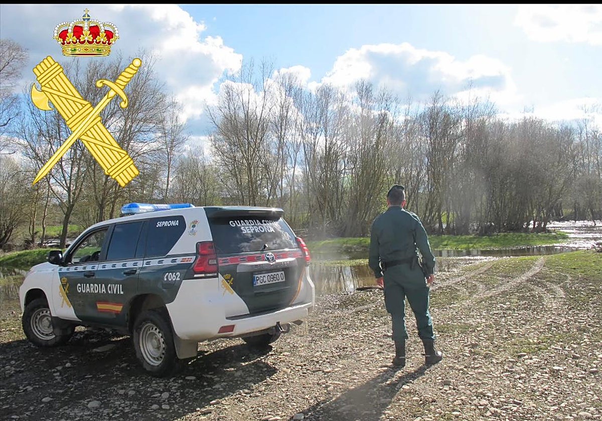 Un agente durante la intervención.