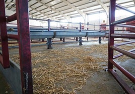 Mercado de ganados de Salamanca, vacío estos dos últimos lunes.