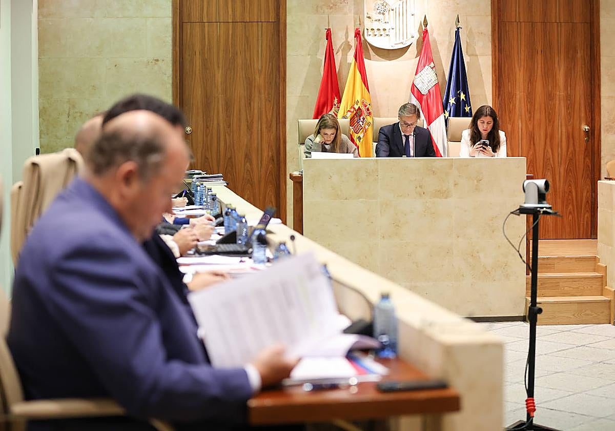 Pleno del Ayuntamiento de este jueves.