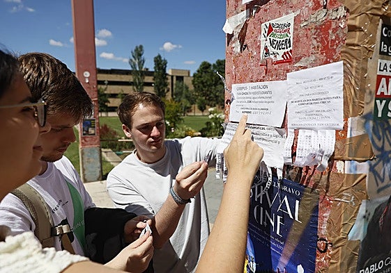 Estudiantes revisando anuncios de piso.