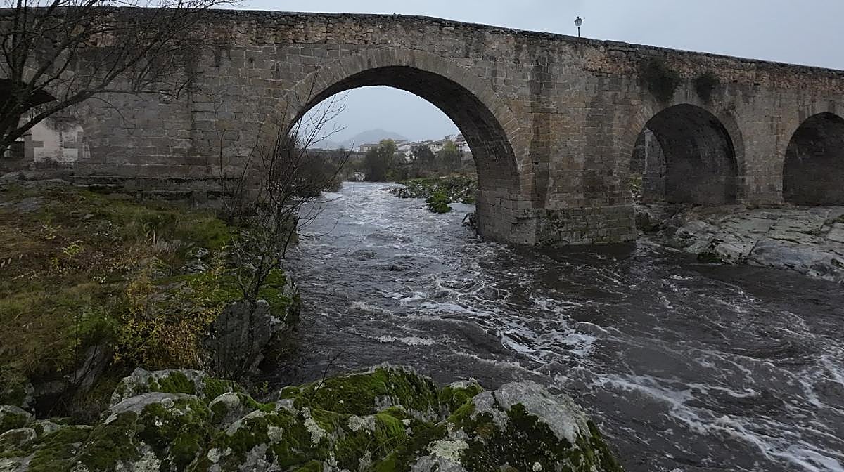Así se encuentra el río Tormes a su paso por Puente del Congosto tras las intensas lluvias de este jueves