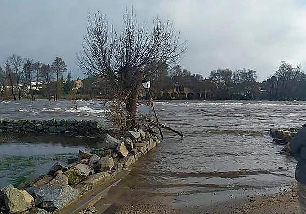 Imagen del río Agadón, a su paso por la localidad salmantina de Zamarra.
