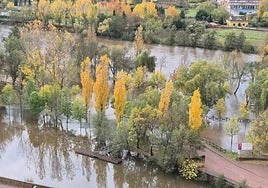 El desbordamiento del río Águeda en Ciudad Rodrigo, en imágenes