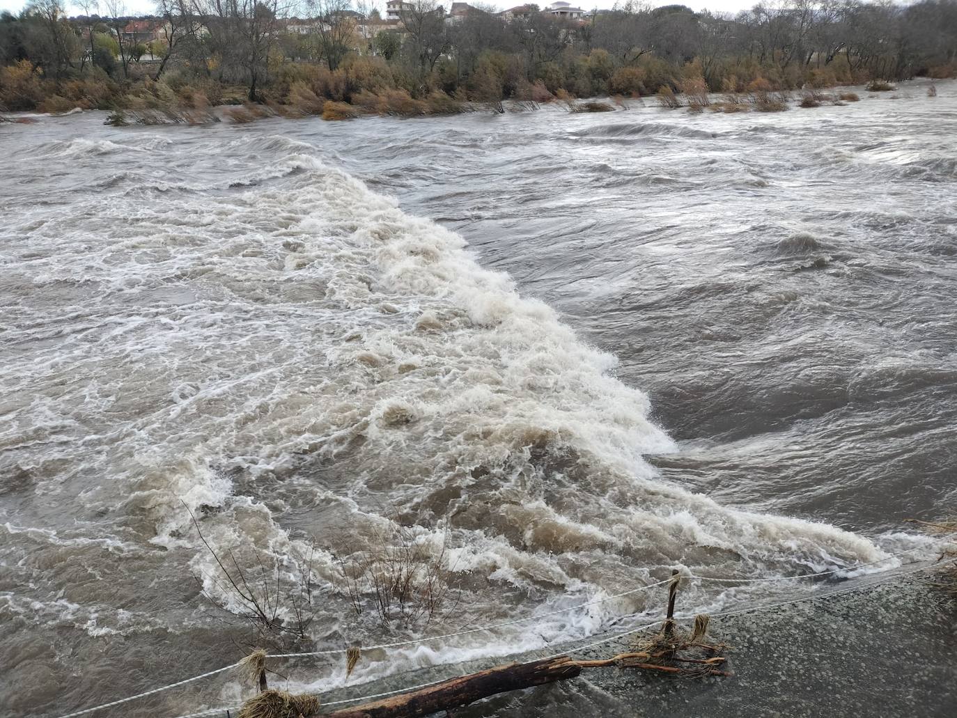 Crecida del Tormes por Puente del Congosto: un garaje inundado, muros derribados o farolas dobladas
