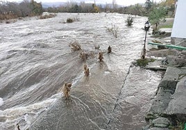 Imagen del río Tormes, desbordado este viernes, a su paso por Puente del Congosto.