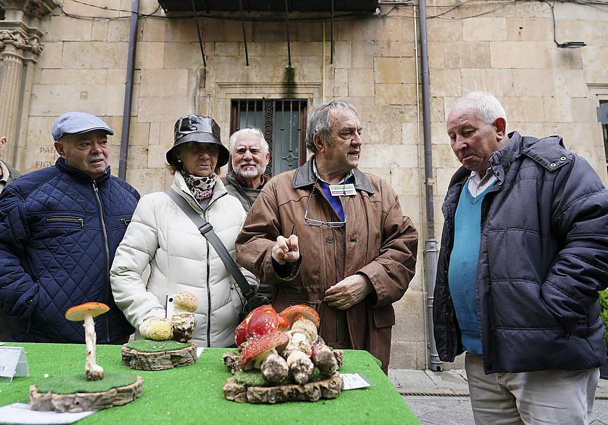 Juan Manuel Velasco explica a los salmantinos los efectos que produce la seta matamoscas.
