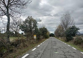 Imagen de la carretera entre Ledrada y Valdelacasa que se va a ensanchar.