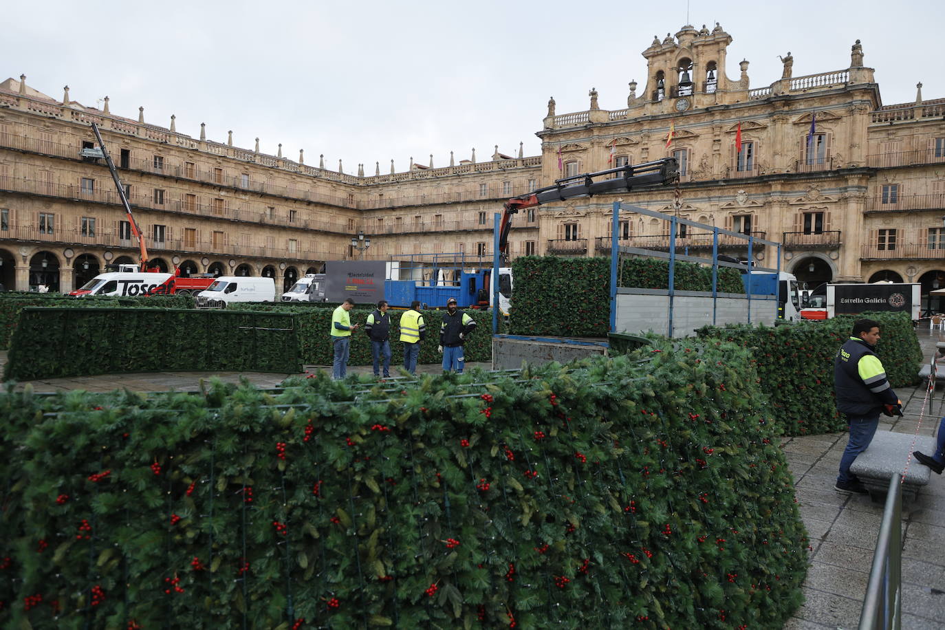 El primer día de trabajo para instalar el gran árbol de Navidad en la Plaza, en imágenes