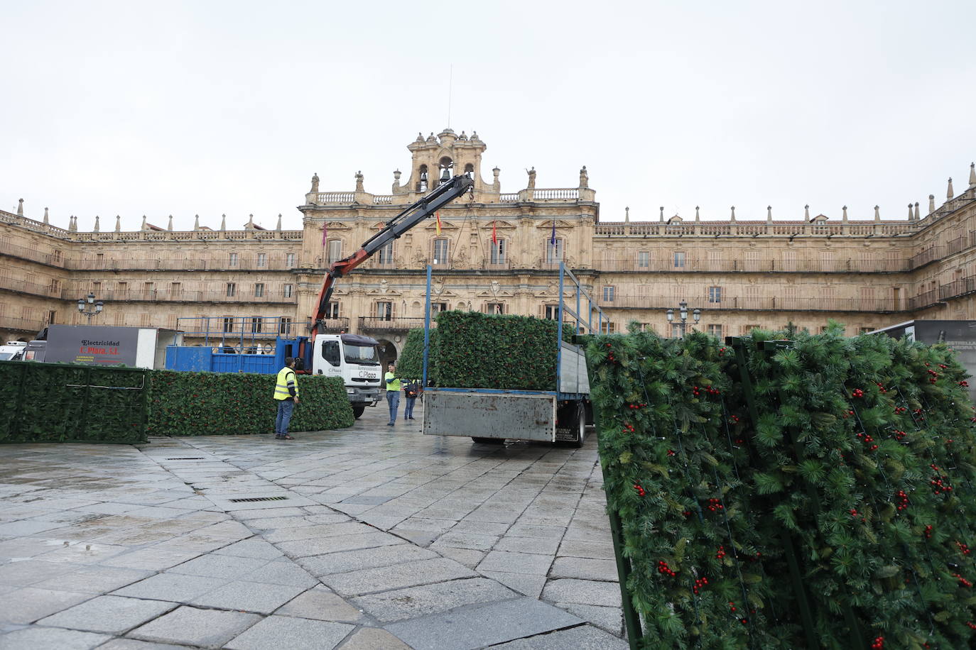 El primer día de trabajo para instalar el gran árbol de Navidad en la Plaza, en imágenes