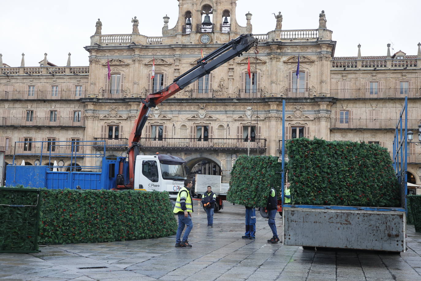 El primer día de trabajo para instalar el gran árbol de Navidad en la Plaza, en imágenes