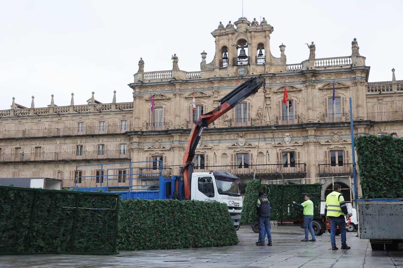 El primer día de trabajo para instalar el gran árbol de Navidad en la Plaza, en imágenes