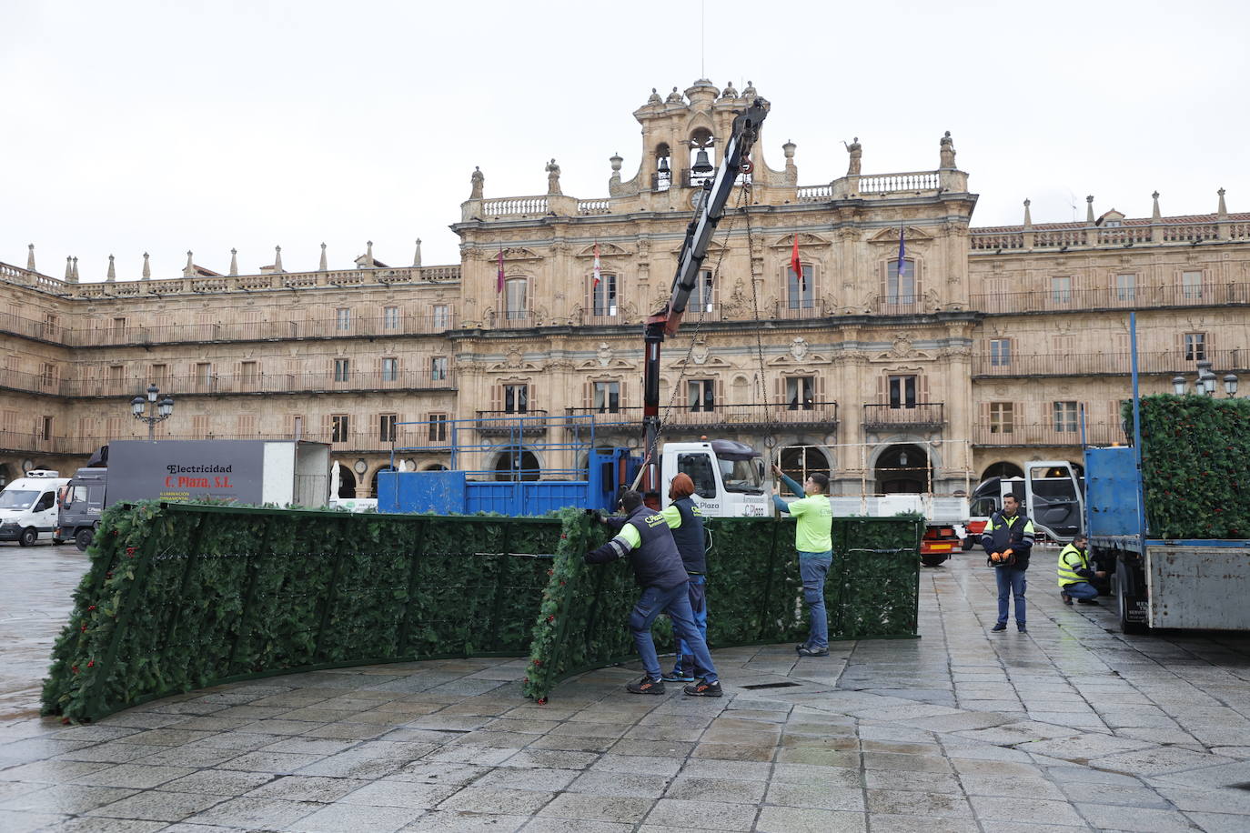 El primer día de trabajo para instalar el gran árbol de Navidad en la Plaza, en imágenes