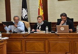 José Luis Rodríguez, Ana Vicente y Antonio Cámara, en un pleno.