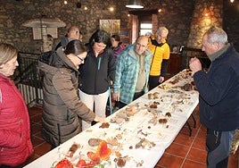 Algunos vecinos, supervisando las especies recogidas.