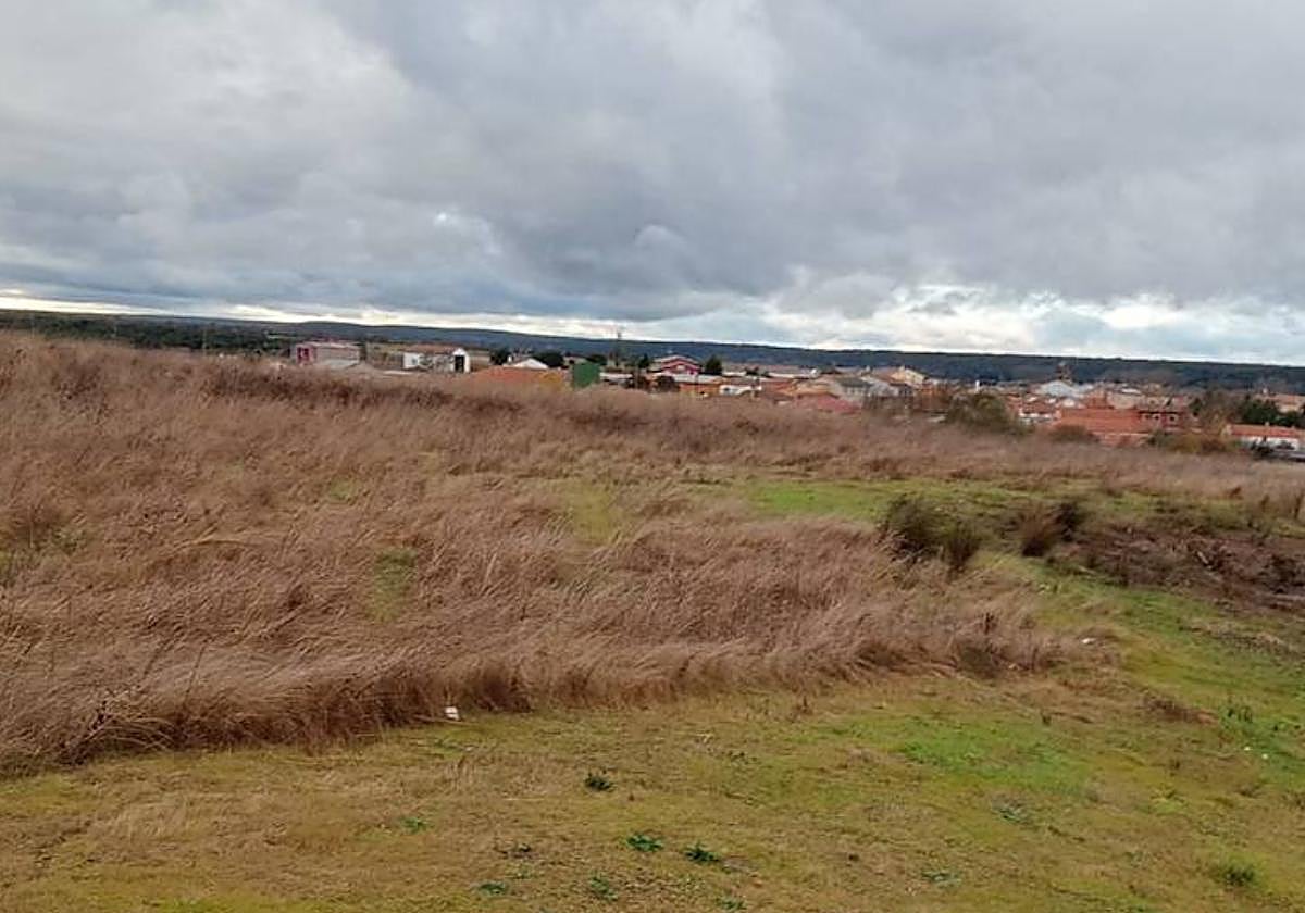 Parcela que sale a subasta ubicada en Martín de Yeltes.