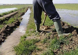 Una parcela inundada por la lluvia.