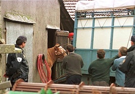 ¿Qué pasó tal día como hoy, 26 de noviembre, en Salamanca?