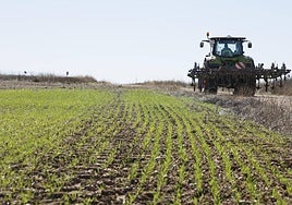 Un trabajador del sector agrícola con su tractor.