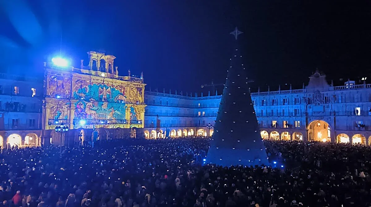 Imagen del encendido del árbol en la Plaza Mayor.