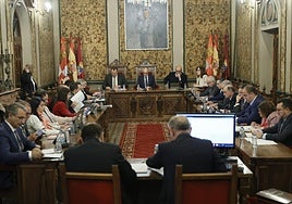 Sesión de pleno en la Diputación de Salamanca.