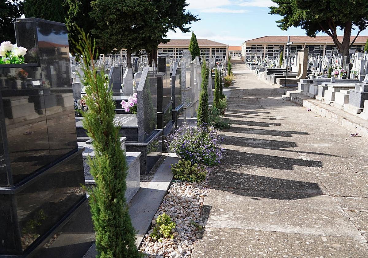 Parque Cementerio ha ejecutado alrededor de 300 metros lineales de nuevas jardineras en varias calles.