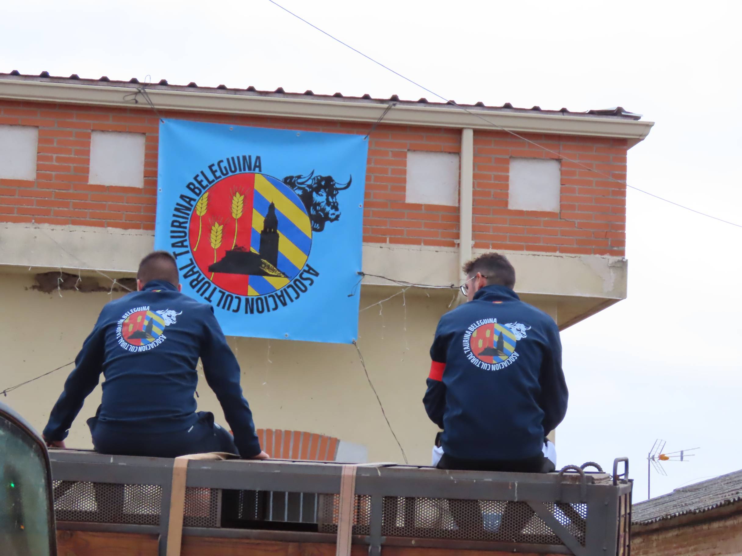 El Toro de San Andrés llena las calles de Palaciosrubios
