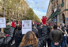 Imagen de la manifestación.