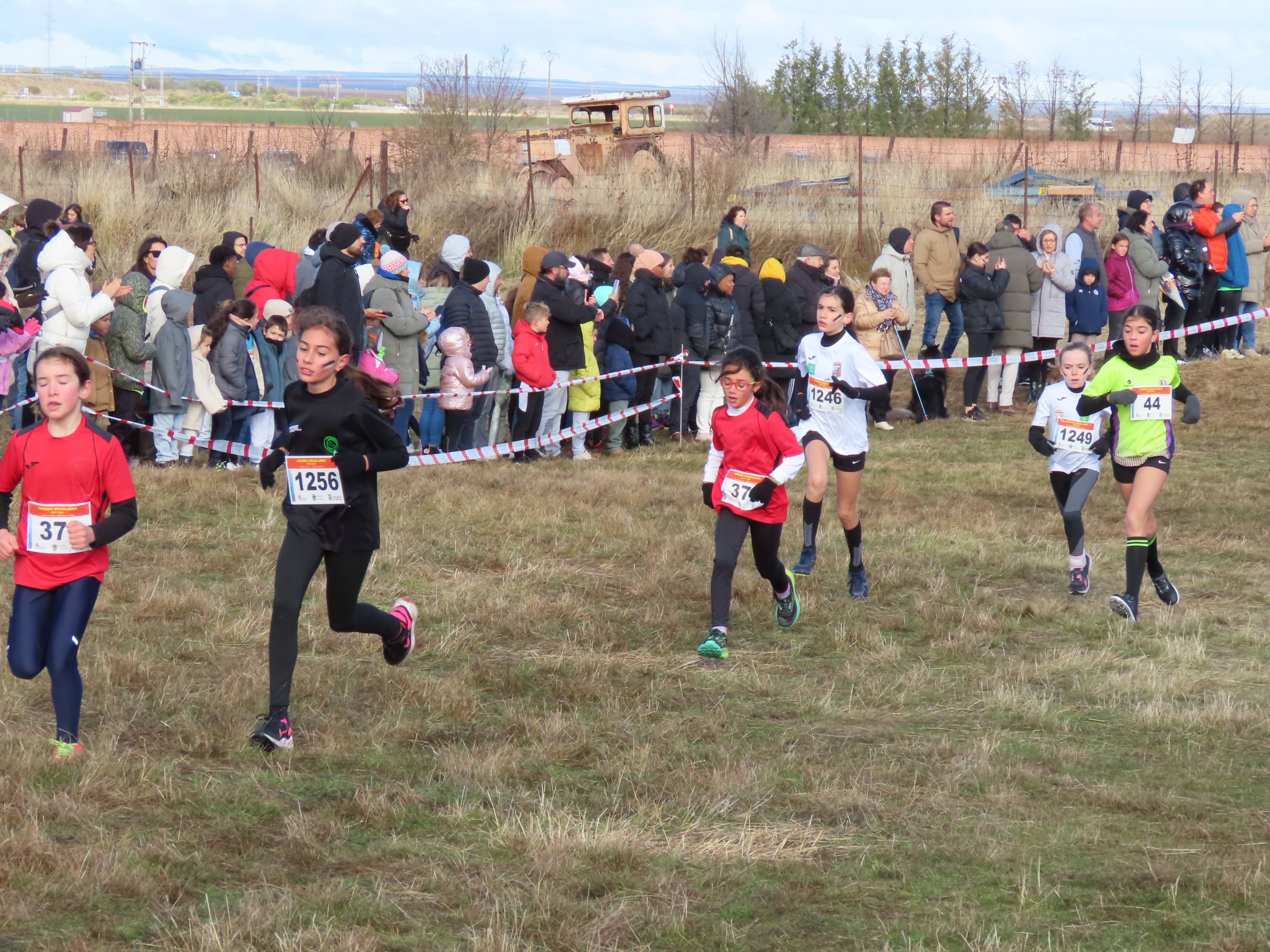 750 participantes en la Cross Popular Ciudad de Peñaranda