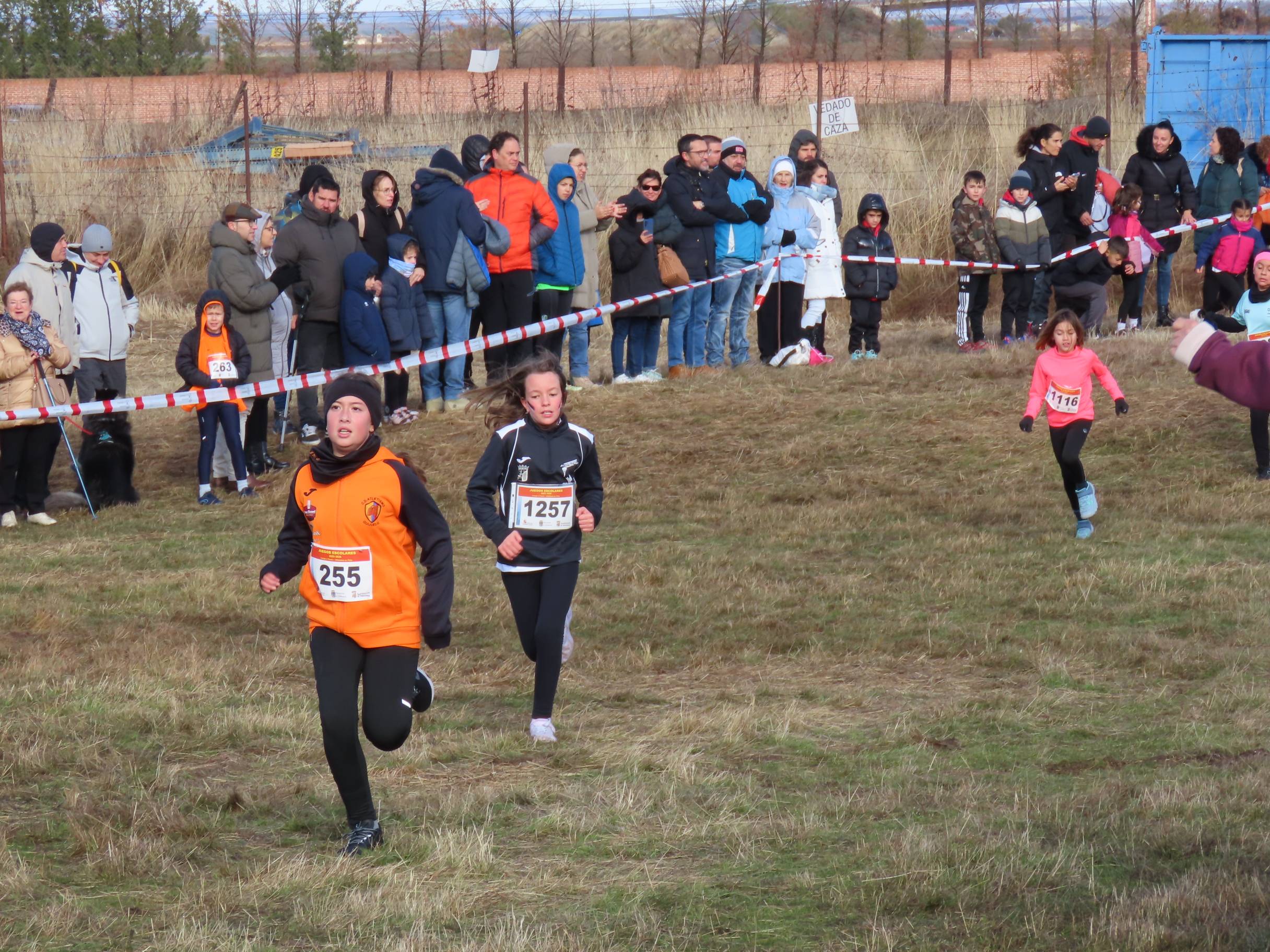 750 participantes en la Cross Popular Ciudad de Peñaranda