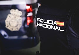 Un agente de la Policía Nacional, de espaldas.
