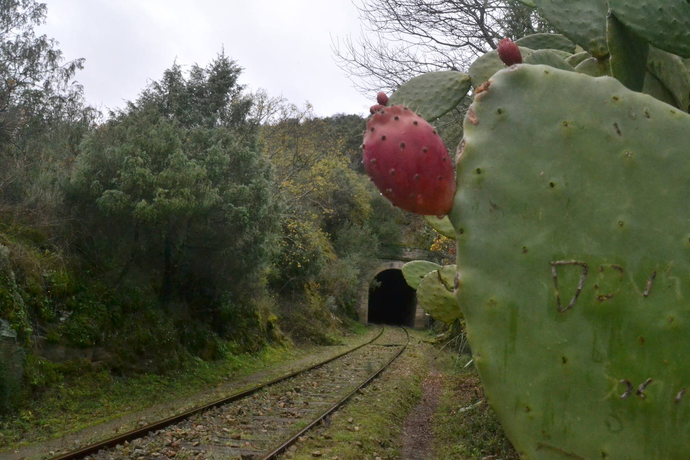El Camino de Hierro estrena ruta y centro de visitantes