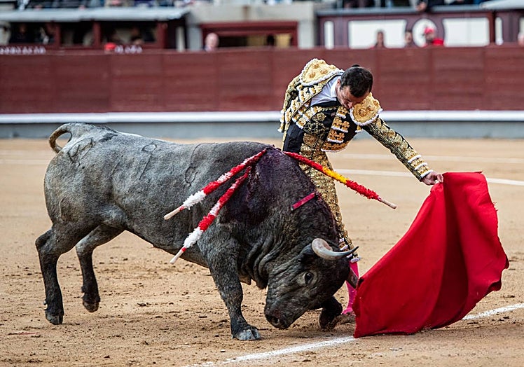 Natural de Damián Castaño a un toro de Adolfo Martín en la plaza de Las Ventas.