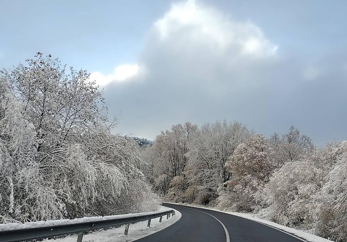 La carretera SA-100, de Béjar a Barco de Ávila, completamente nevada.
