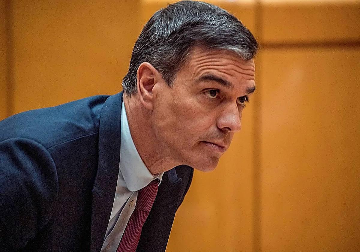 El presidente del Gobierno, Pedro Sánchez.