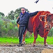 Daniel Román, con el ganado de su padre. Su otra afición es la fotografía ganadera, como la de la imagen.