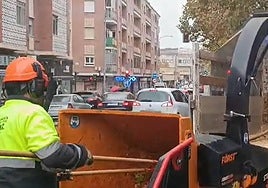 La lluvia no puede con las labores de poda