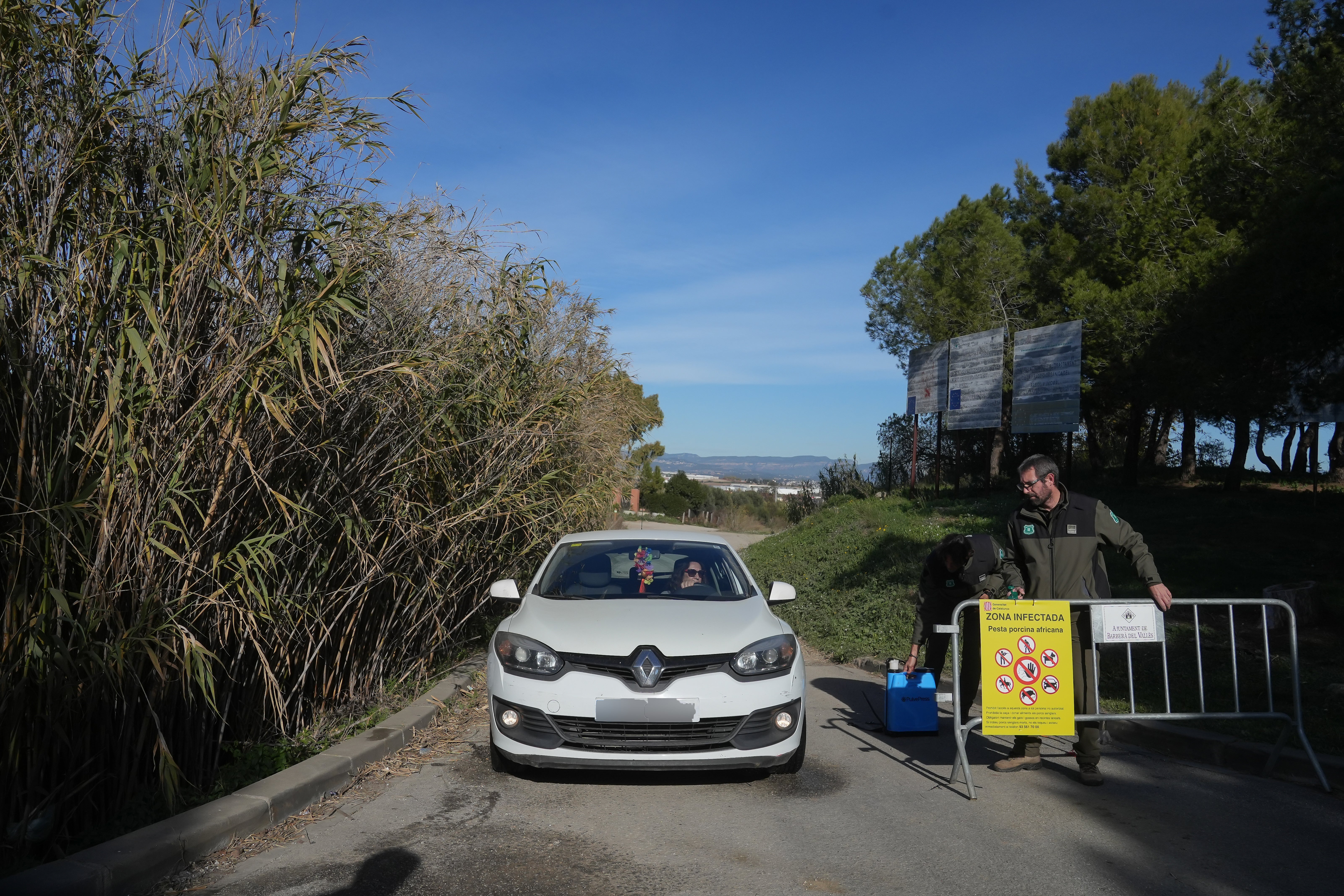 Imagen de una zona afectada por la peste porcina.