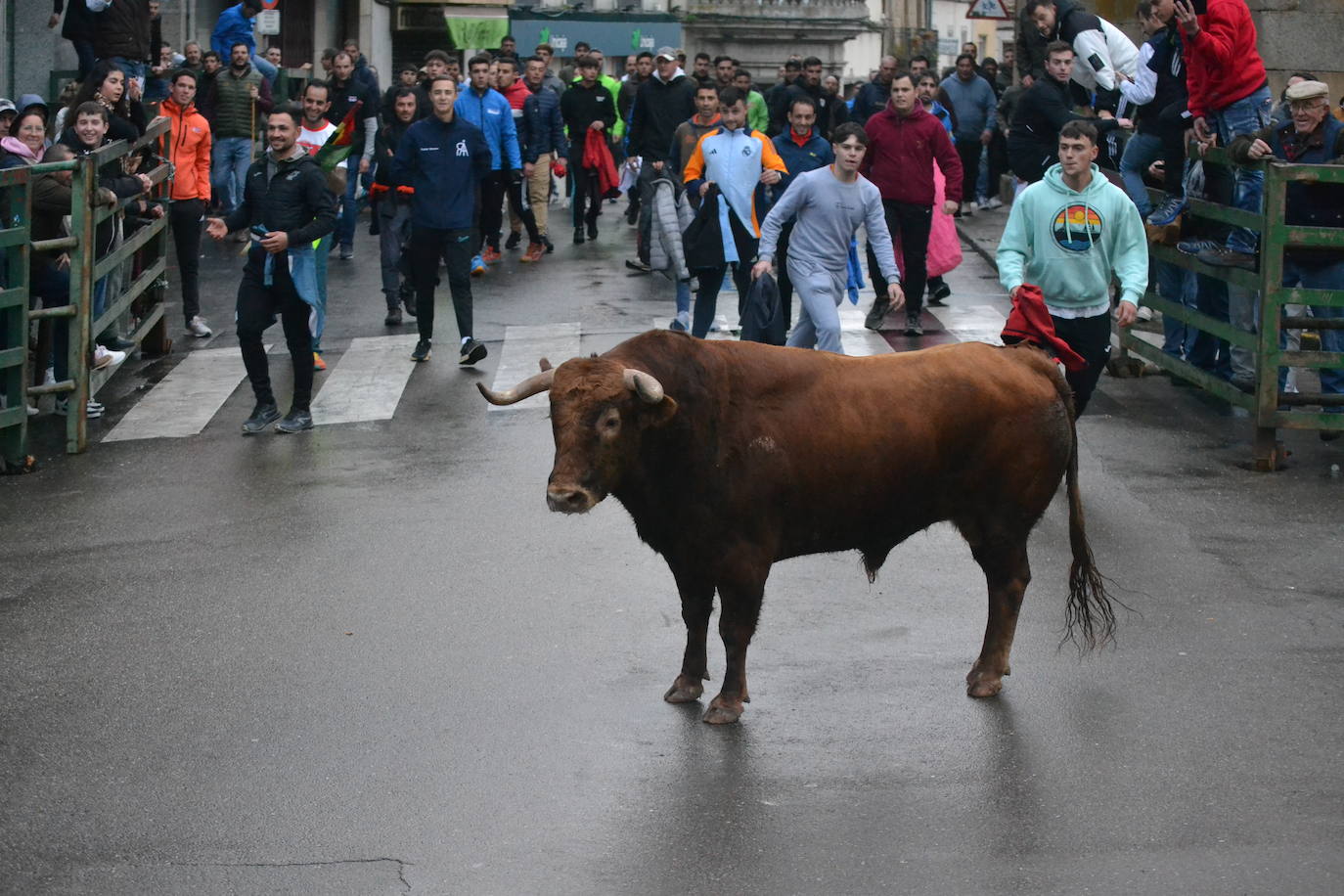 Vitigudino cierra el año taurino con un vibrante Toro de San Nicolás