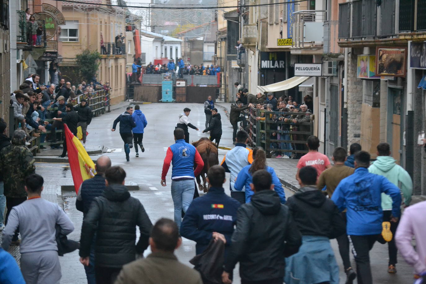 Vitigudino cierra el año taurino con un vibrante Toro de San Nicolás