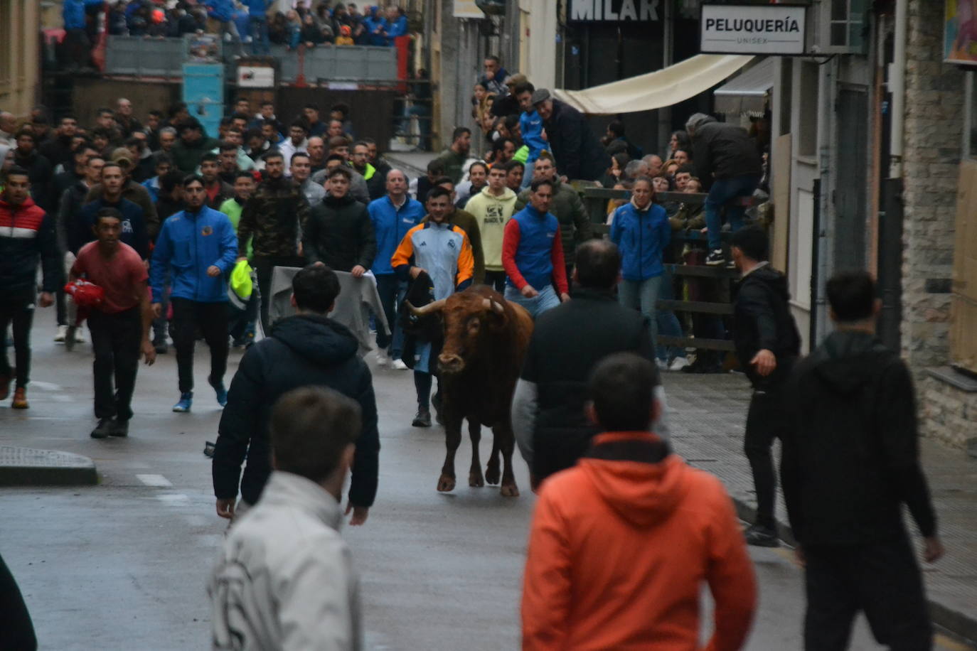 Vitigudino cierra el año taurino con un vibrante Toro de San Nicolás