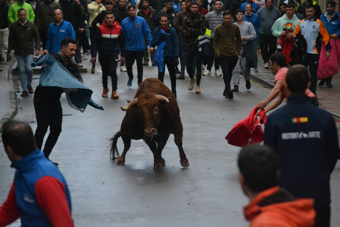 Vitigudino cierra el año taurino con un vibrante Toro de San Nicolás