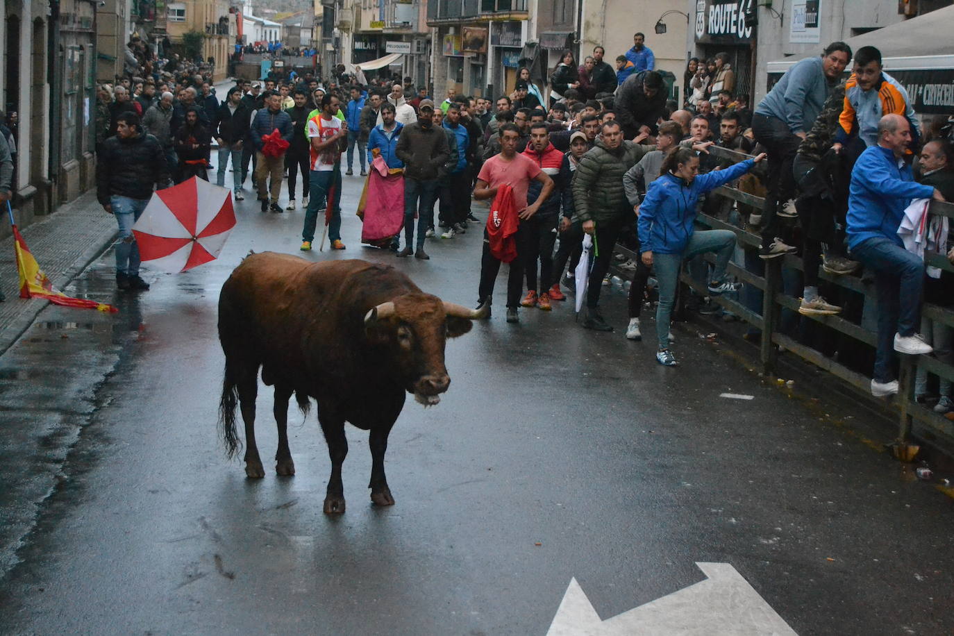 Vitigudino cierra el año taurino con un vibrante Toro de San Nicolás