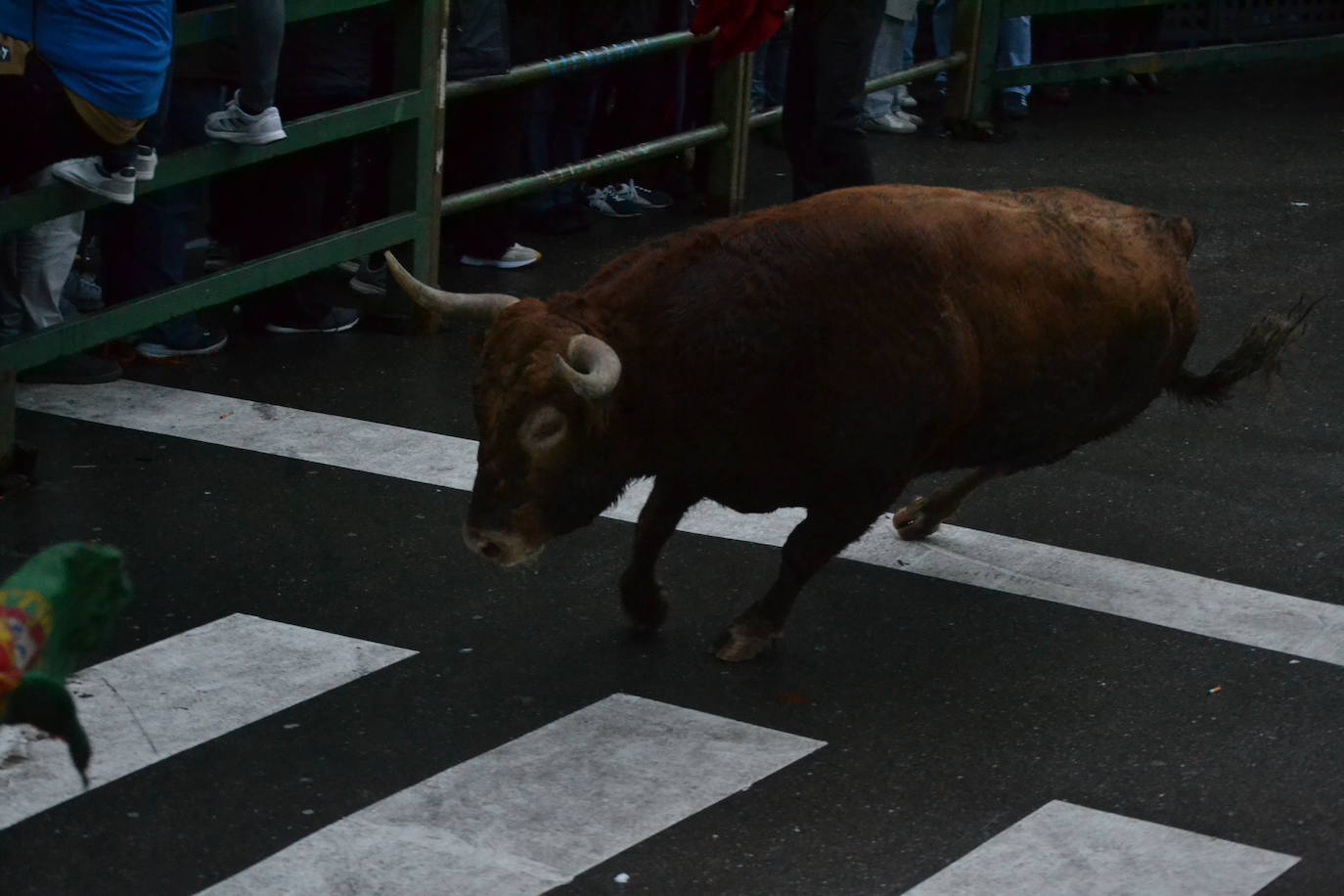 Vitigudino cierra el año taurino con un vibrante Toro de San Nicolás