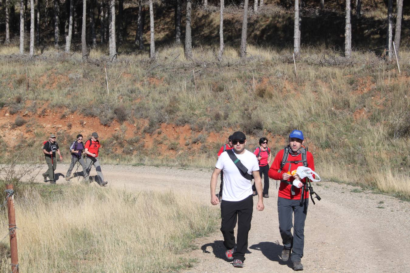 Arnedanos y visitantes participan en la marcha a Isasa